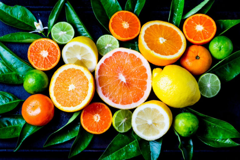 northern hemisphere citrus
