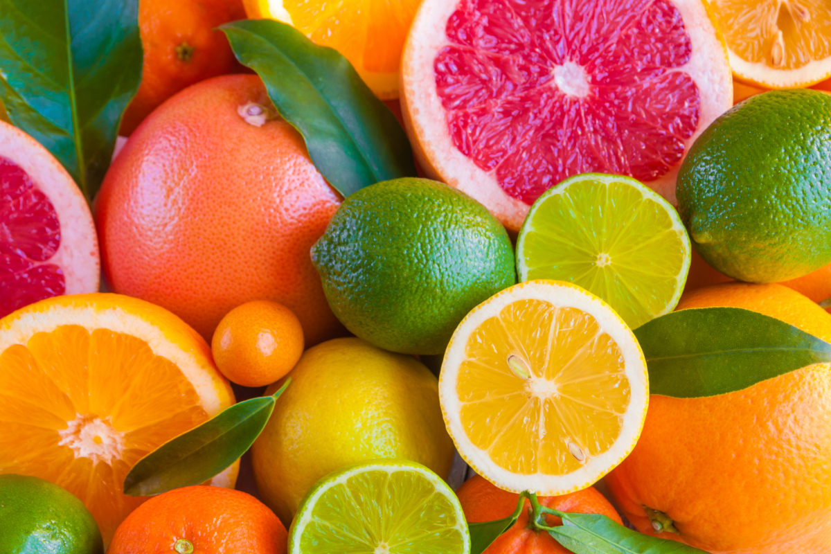 World Citrus Organization forecasts dip in Northern Hemisphere citrus output for 2025–26