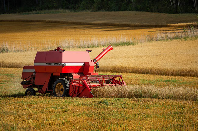 Robot market harvester