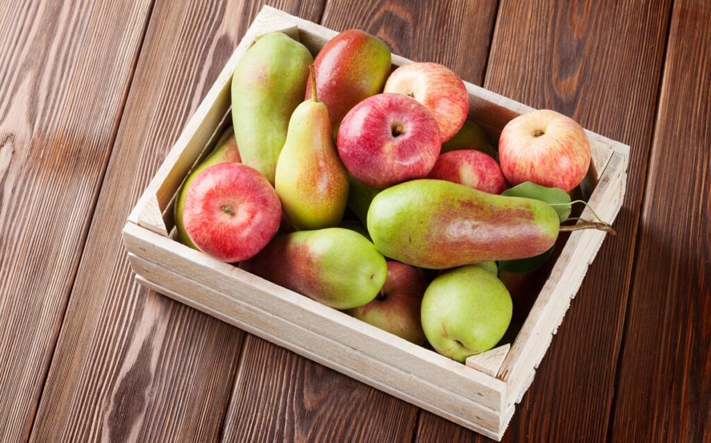 Favorable weather lifts EU apple and pear crop outlook, market remains balanced