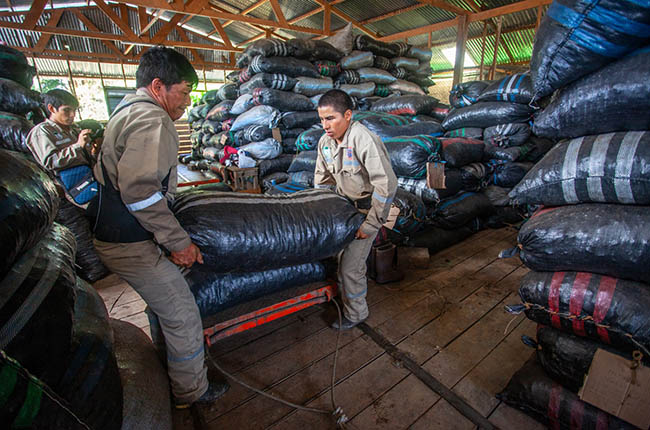 Carrying peruvian chestnuts