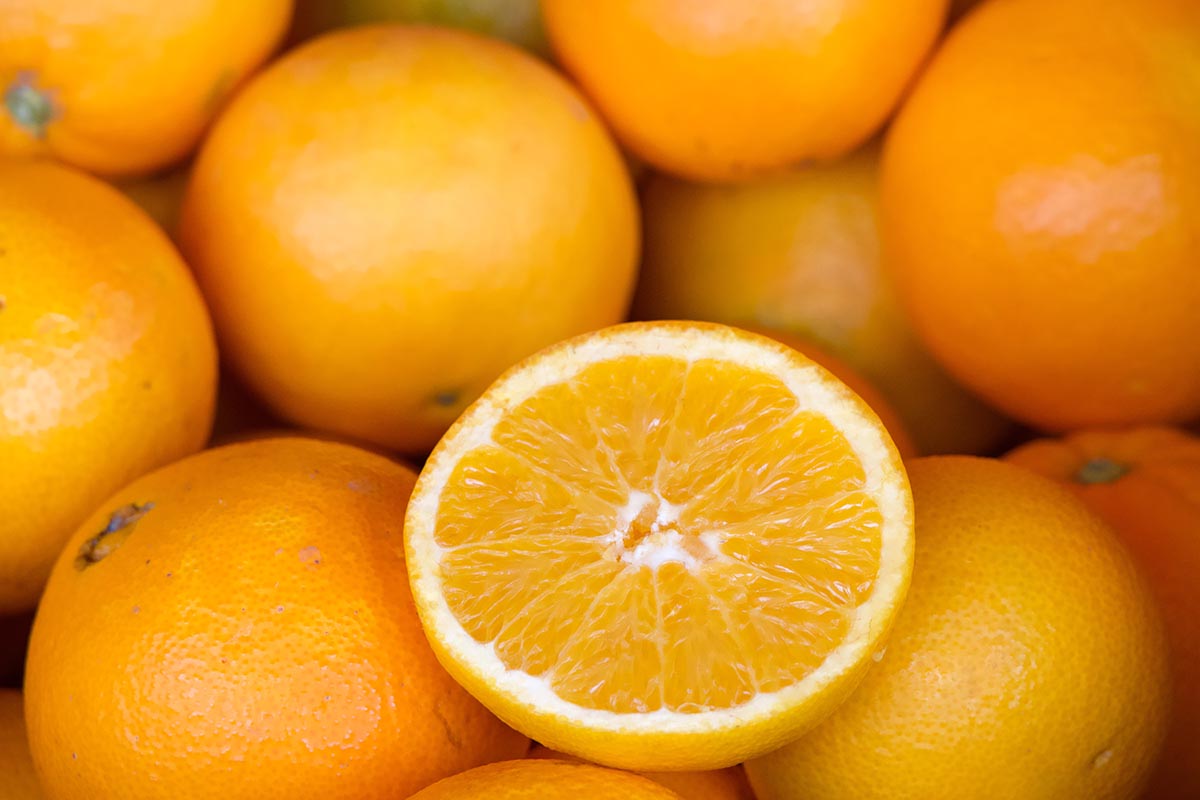 South Africa's orange growers elated over US tariff exemption, but lament the exclusion of mandarins