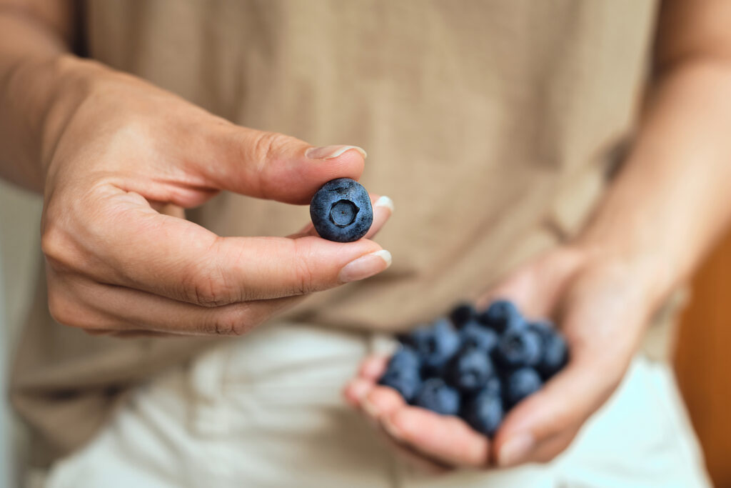 Agronometrics in Charts: China's blueberry exports skyrocket 602 percent, transforming global trade
