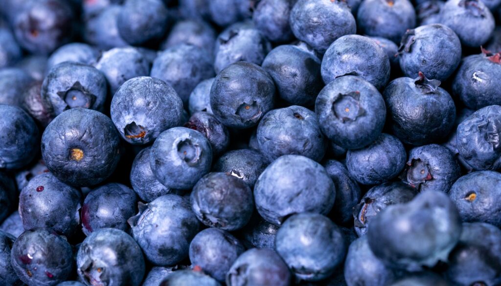 Maxtend protects blueberries