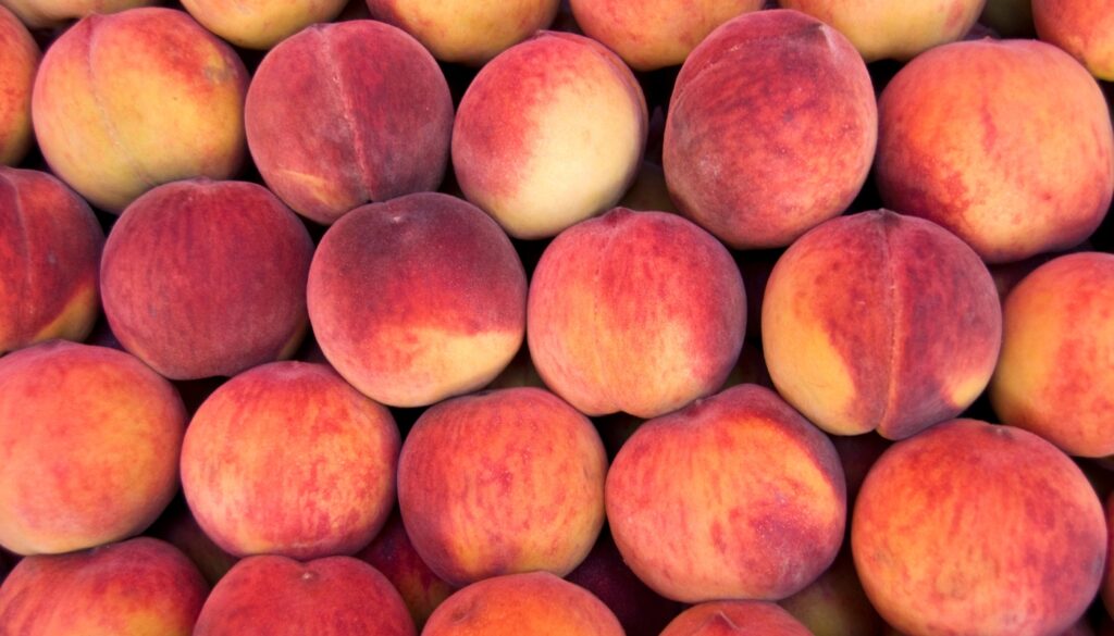 Maxtend protects peaches