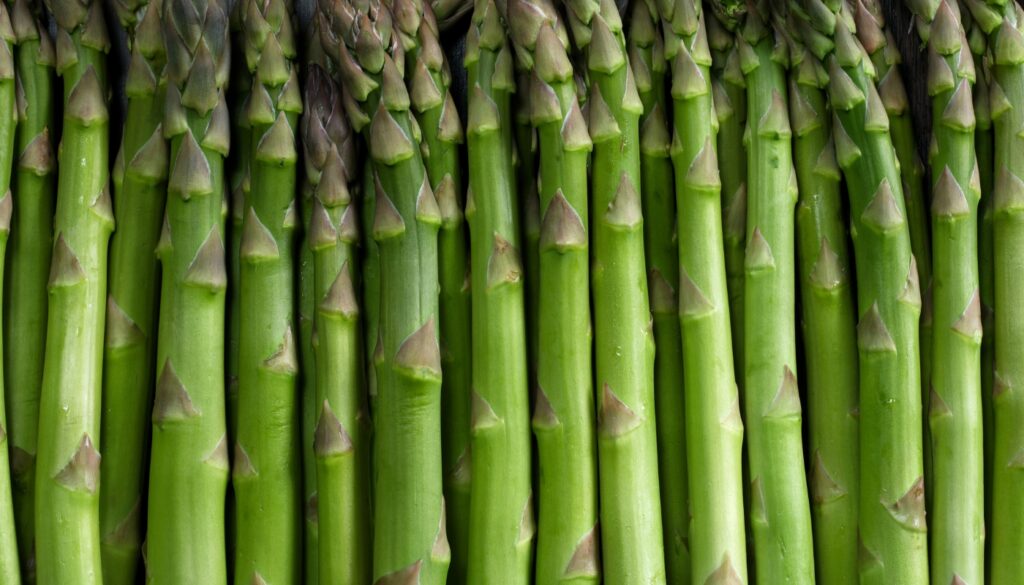 Maxtend protects asparagus