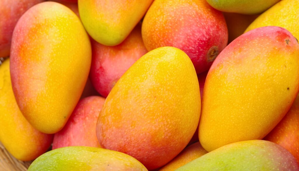 Maxtend protects magos