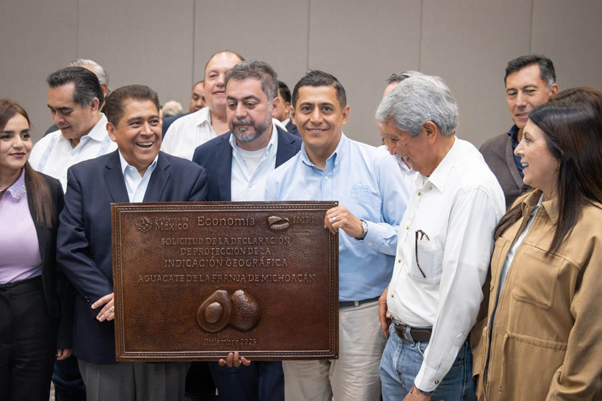 Seal of authenticity: APEAM begins process to grant protected status to Mexican avocados from Michoacán 