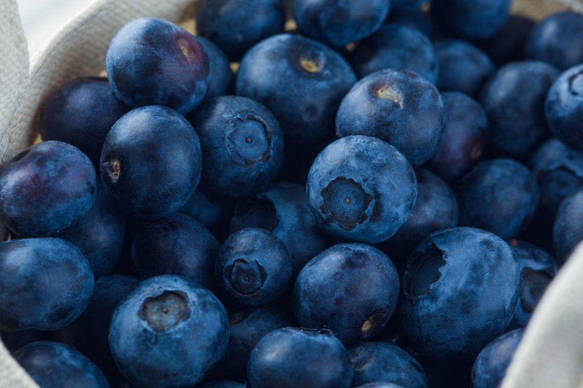 First commercial shipment of Australian blueberries lands in Vietnam
