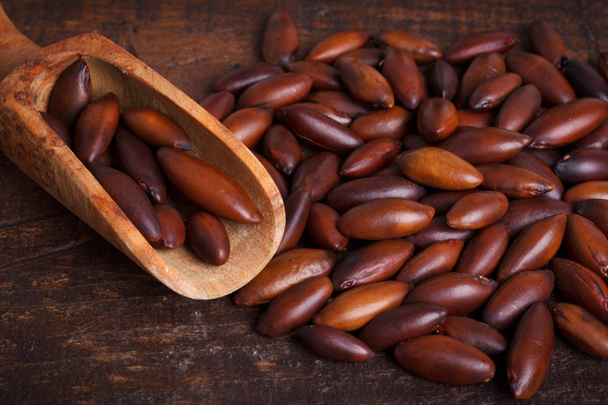 Baru nut and frozen fruits: Brazil opens new markets in Japan and the Eurasian Economic Union