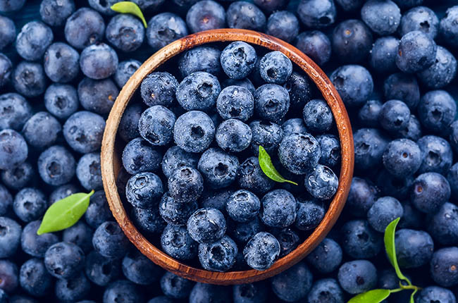 Blueberry industry