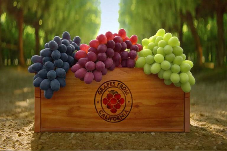 California Table grapes