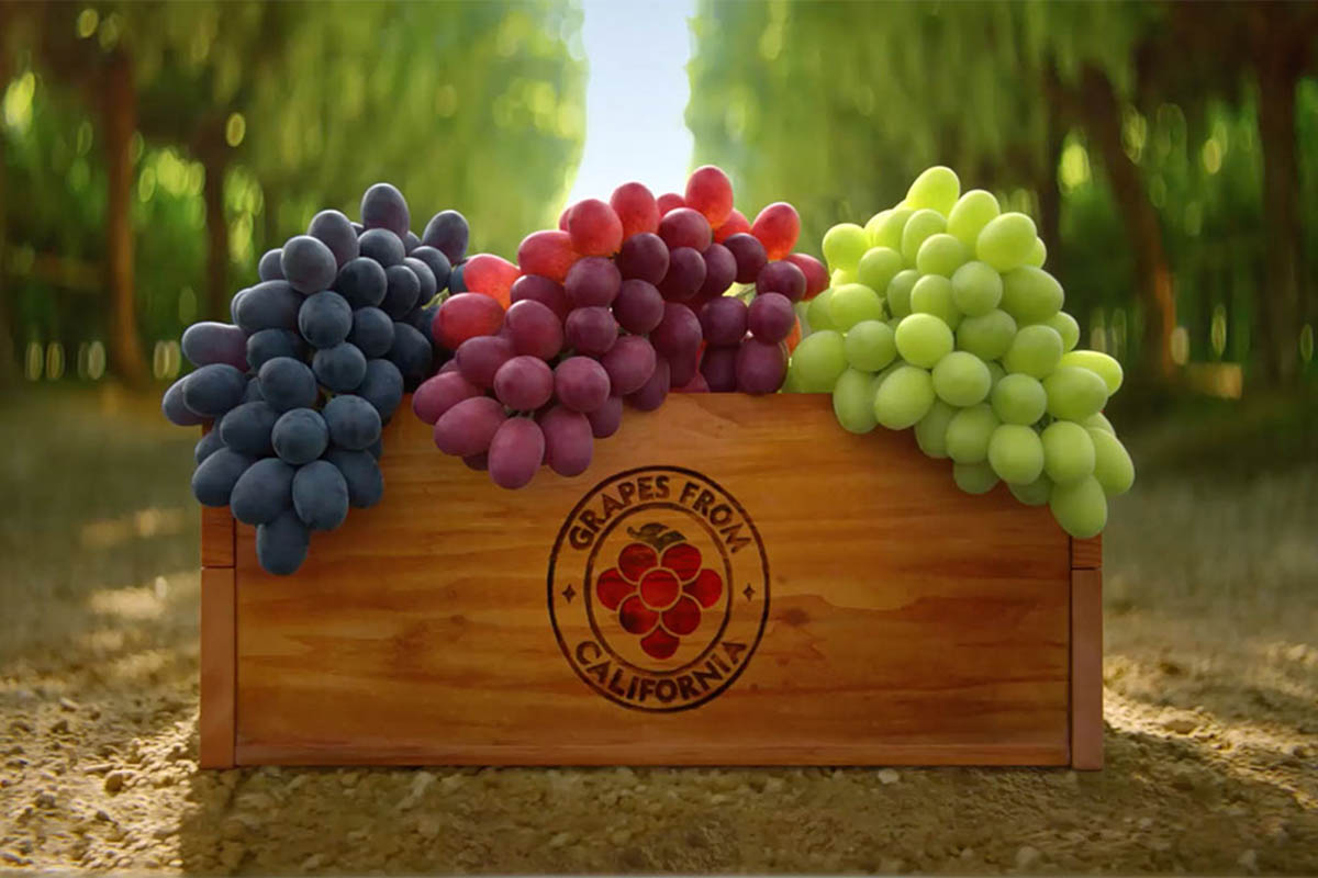 California table grape season ends with critical drop in cold storage inventory