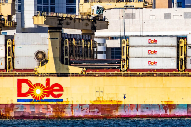 Dole ship at port