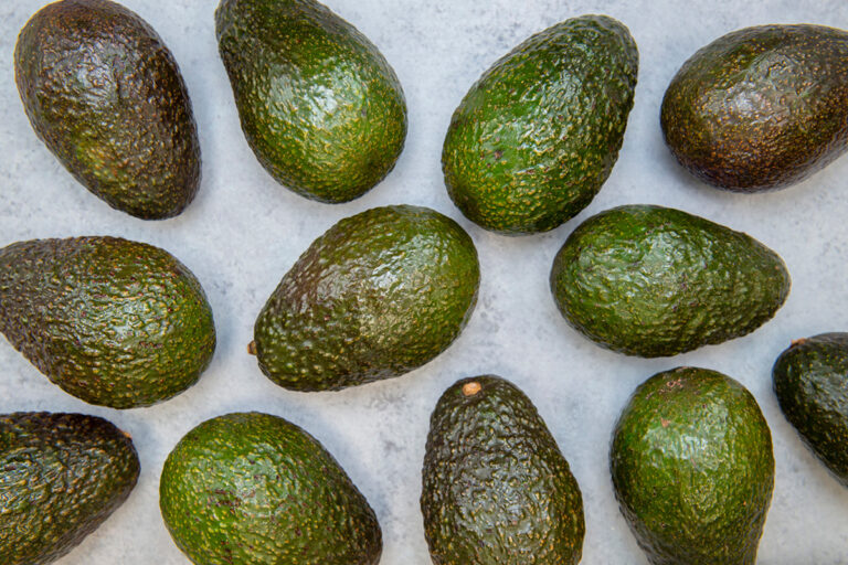 Peruvian avocado industry