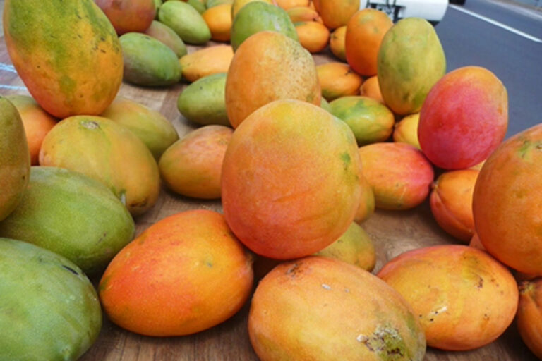 fruit trends 2026 mangoes