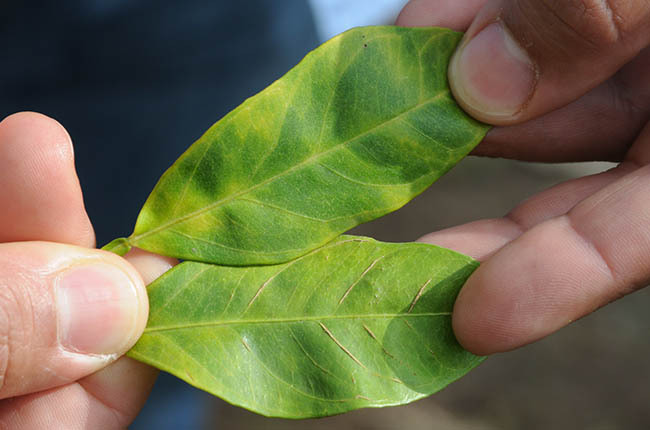 The Mean Sixteen: Report urges action on ag biosecurity