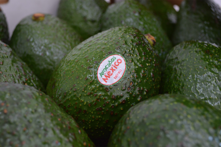 Mexican avocado leads fresh fruit imports