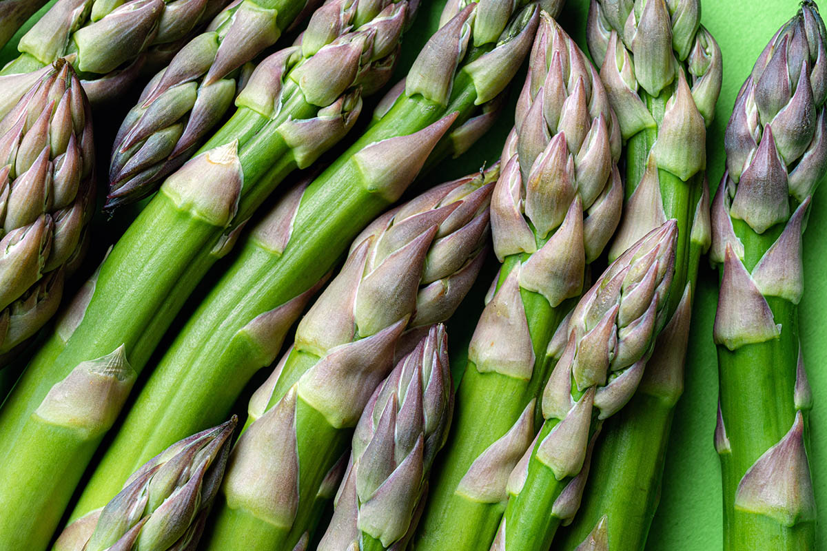 Peruvian Asparagus Importer's Association announces new co-chairmen for 2026-2027