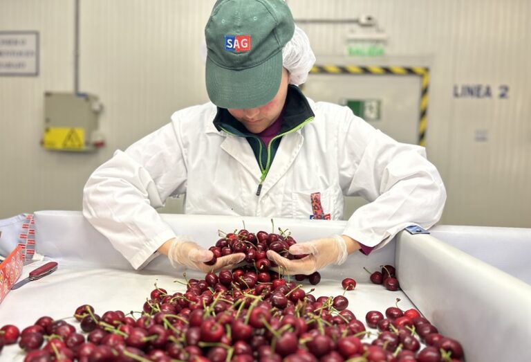 SAG USDA inspection site