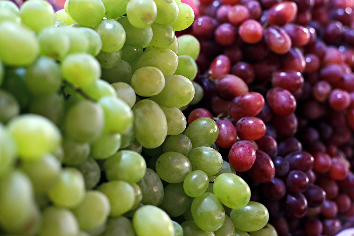 China's table grape exports set to rival Peru for world No. 1 spot, USDA forecasts
