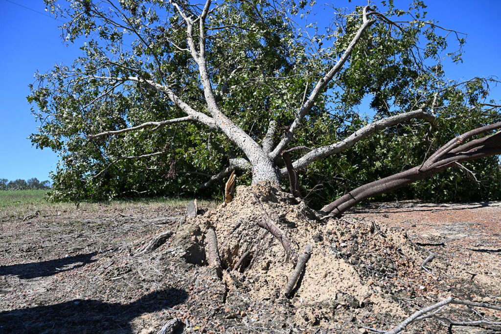 USDA announces $38.1 million to cover agricultural losses due to Hurricane Helene in Tennessee