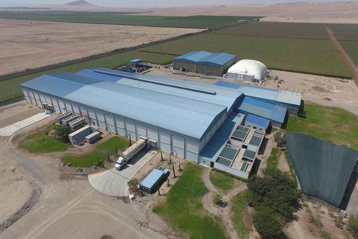 Unifrutti Group acquires Peruvian table grape producer Safco for $150 million