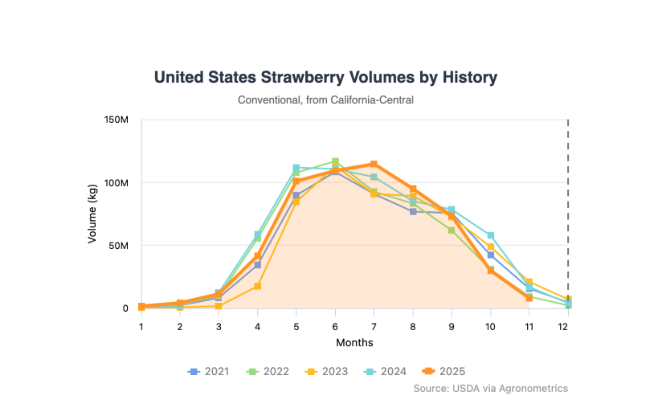 Strawberry prices