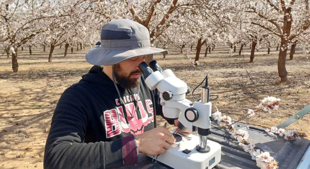 Ag-tech innovator BioPollen expands liquid pollination system across the Americas