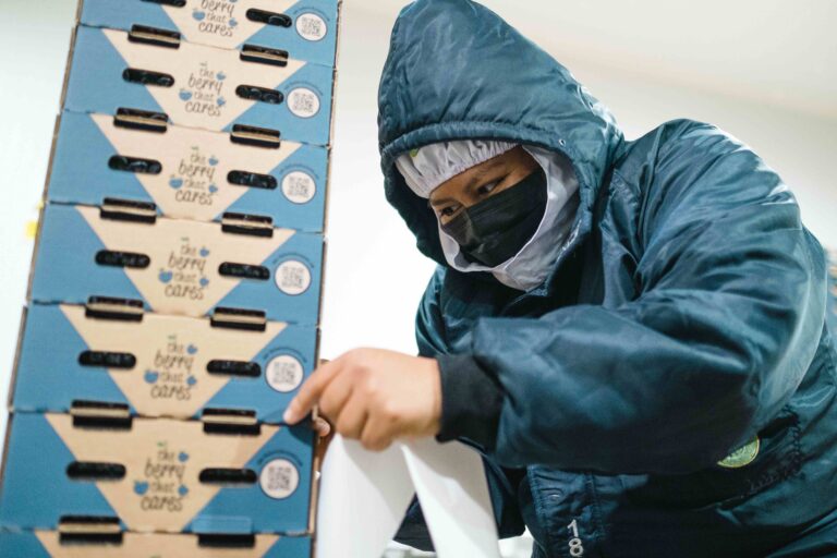 Camposol blueberry packing