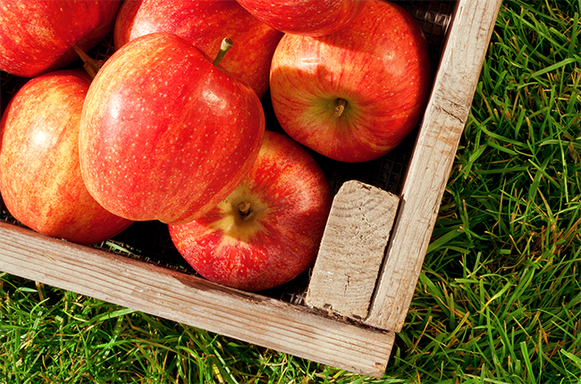 Rabobank says apples will remain in steady supply