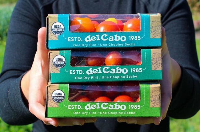 Jacobs Farm del Cabo tomatoes