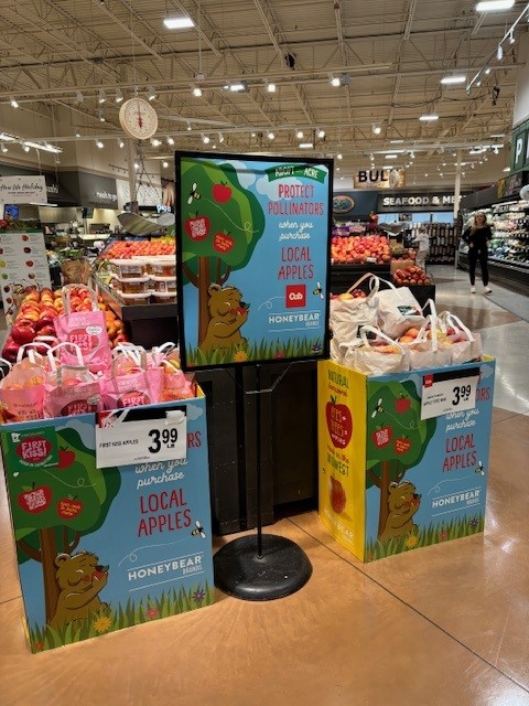 Honeybear insights apple display