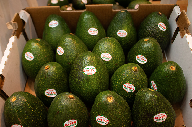 Deforestation free mexican avocados