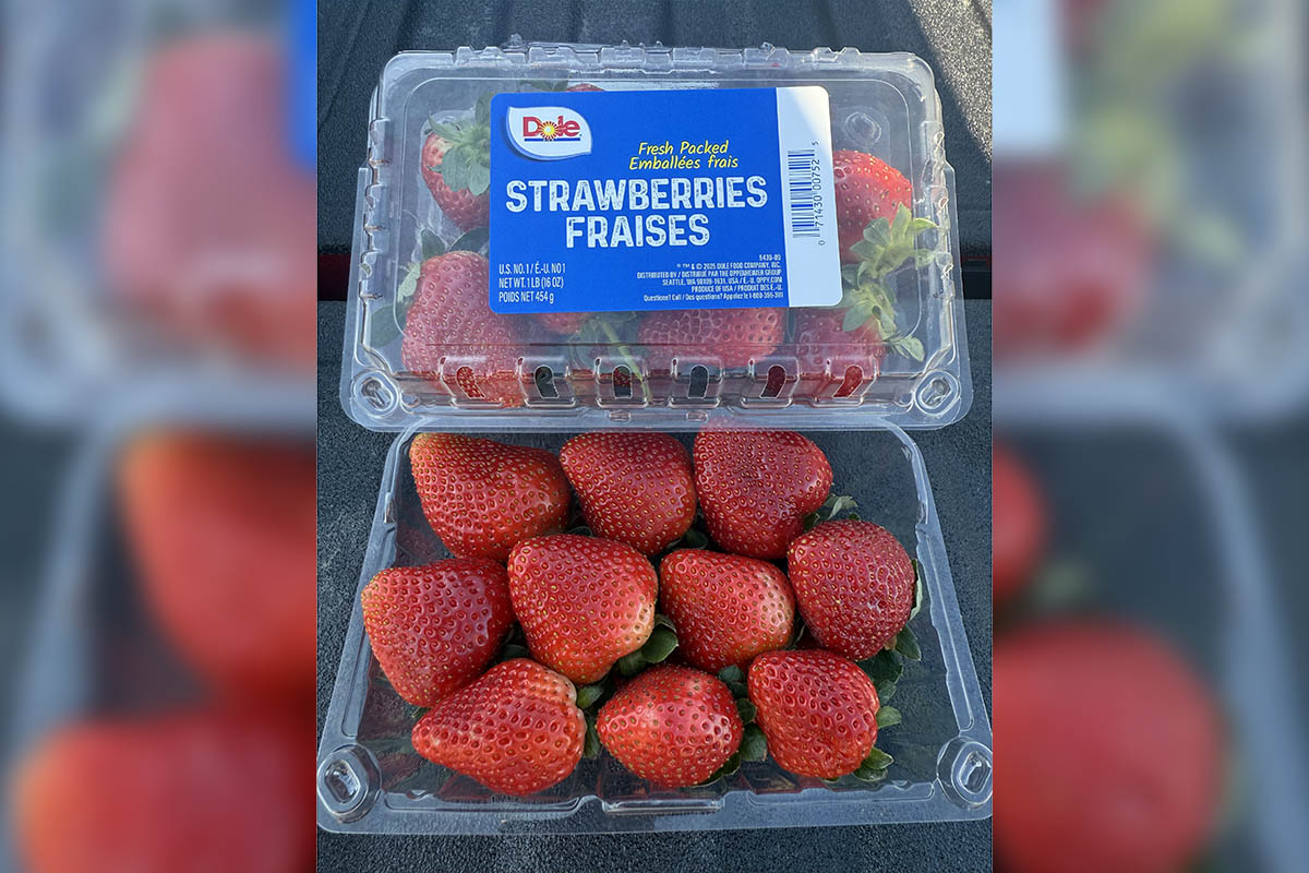 Oppy expands portfolio with new Florida strawberry program and fruit solf under DOLE label