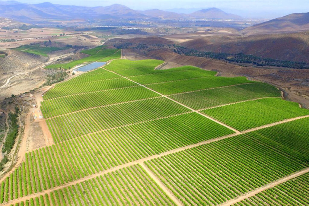 Hit by historical lemon price drop, Limoneira sells two Chilean ranches at a nearly $4 million loss