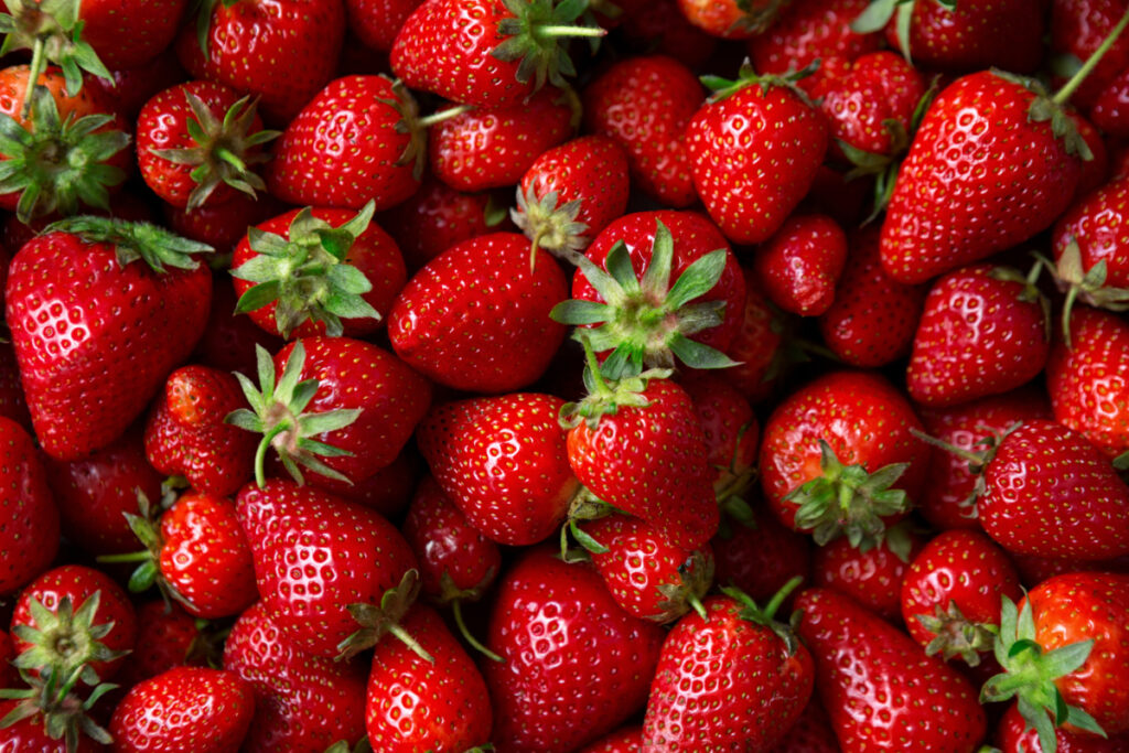 US strawberry prices soar 33 percent as California rain disrupts December supply
