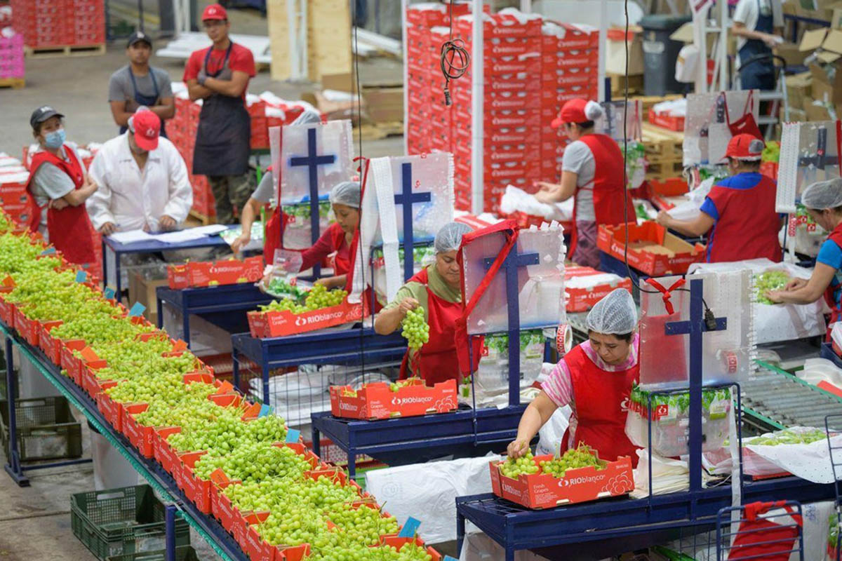 To the US and beyond: RIOblanco diversifies its market strategy to break into Asia, Mexico, and Brazil