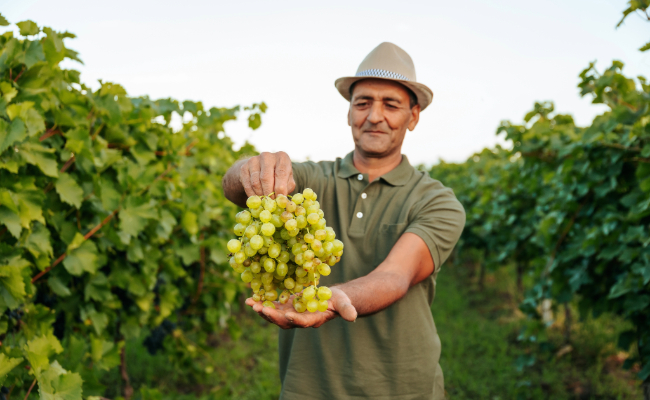 produce global trends