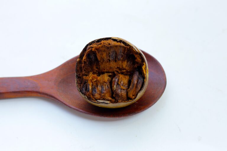 a monk fruit, halved, on a wooden spoon