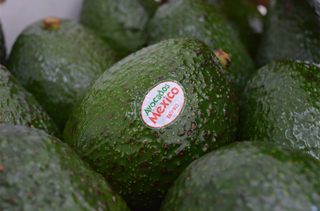 Mexican deforestation-free avocados