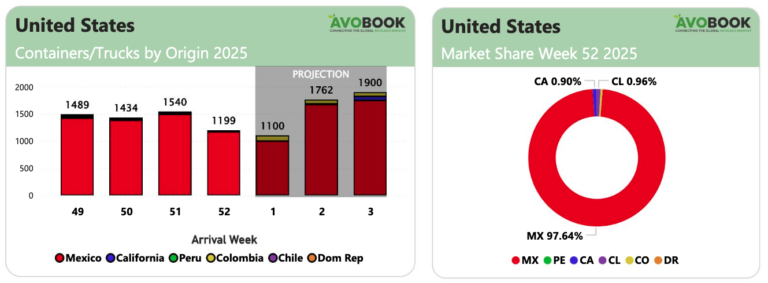 Avocado imports projections graph