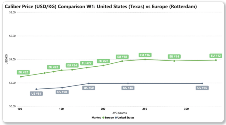 Avocado imports volumes graph
