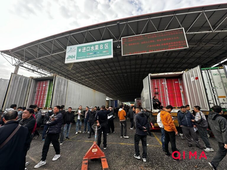 Chilean cherries in China