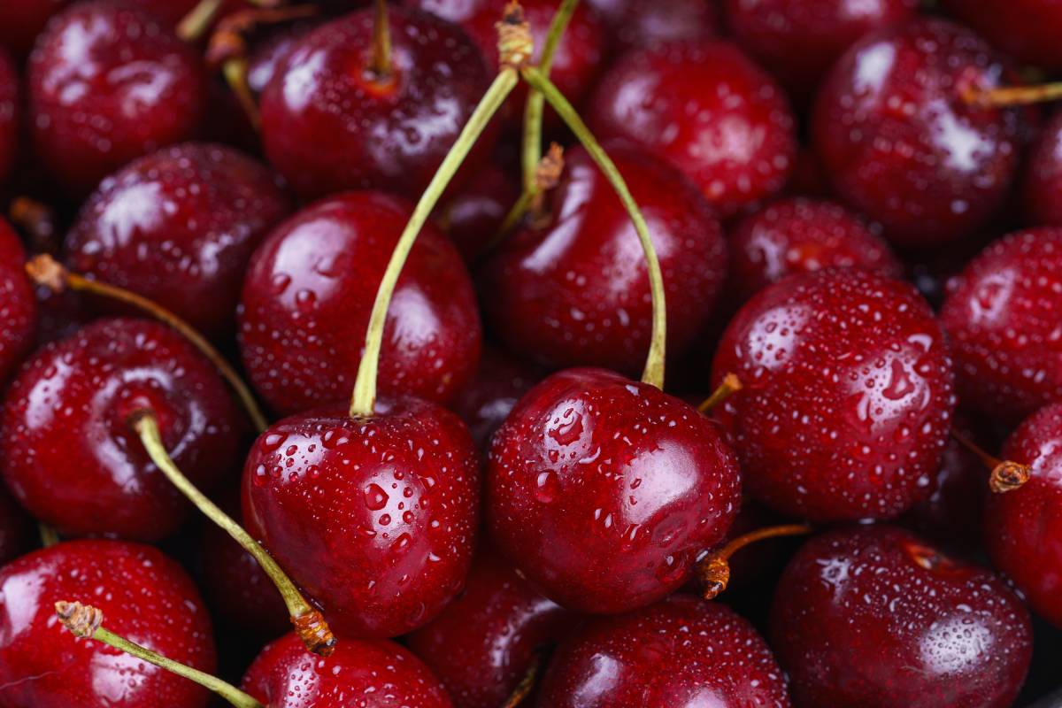 Why Chilean cherries might need more than good quality to thrive in China this season