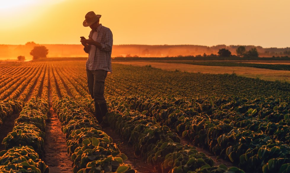 US farmer sentiment slips in 2026 amid trade uncertainty and global competition concerns
