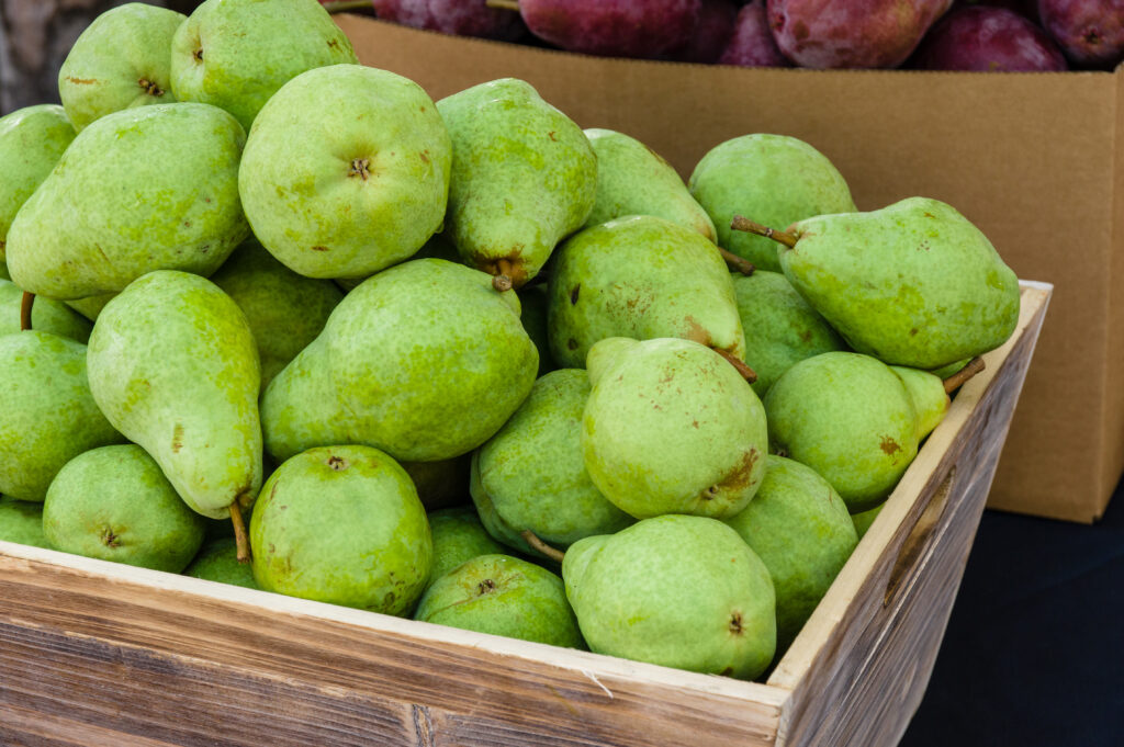 Honeybear eyes steady pear import season