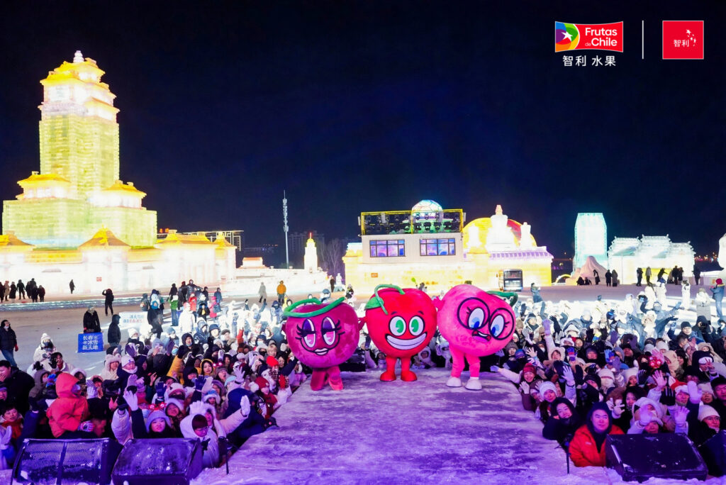 Chilean cherry sector defends top spot with a focus on quality and Ice & Snow Festival in China