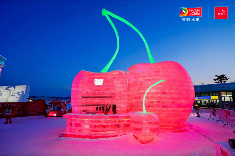 Chilean cherry sector Ice & Snow Festival sculpture