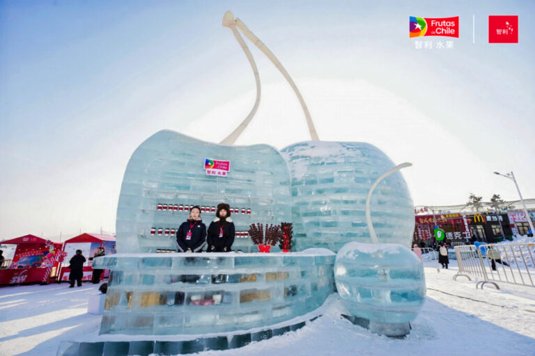 Chilean cherry sector Ice & Snow Festival